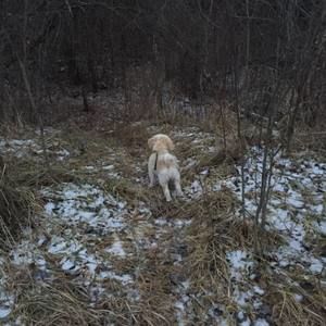 Meet your Posher, Dawn